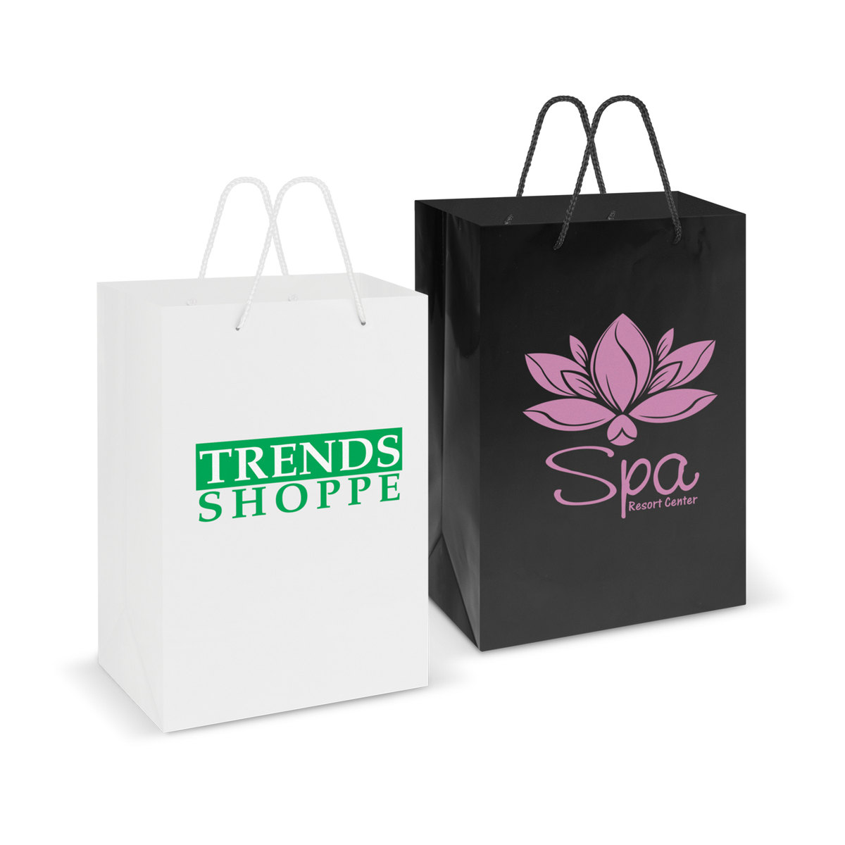 Laminated Carry Bag - Large branded packaging product image
