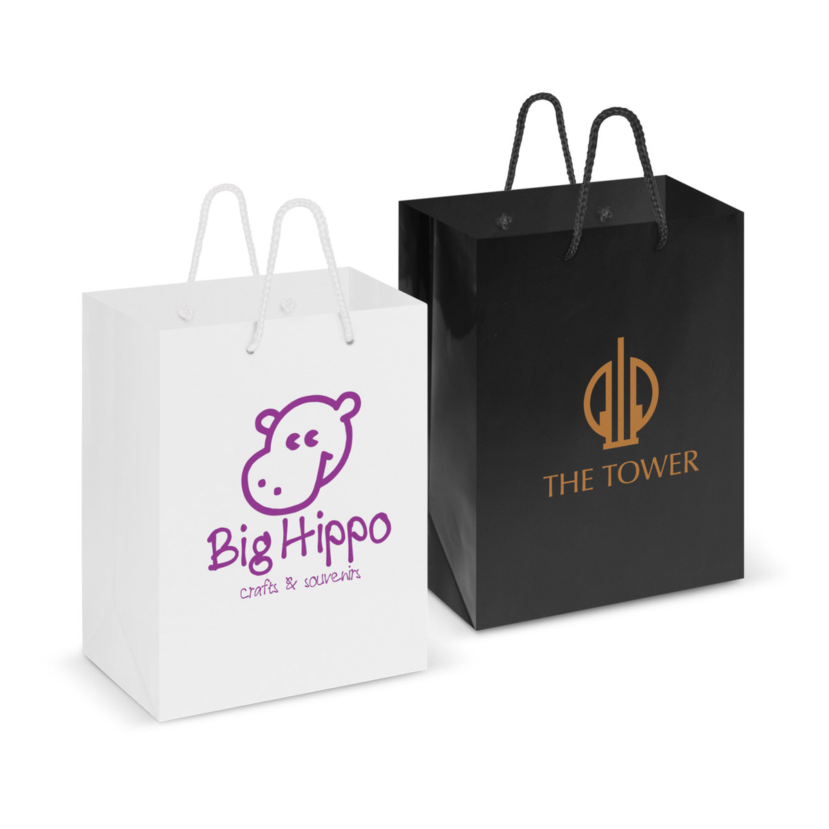 Laminated Carry Bag - Medium branded packaging product image