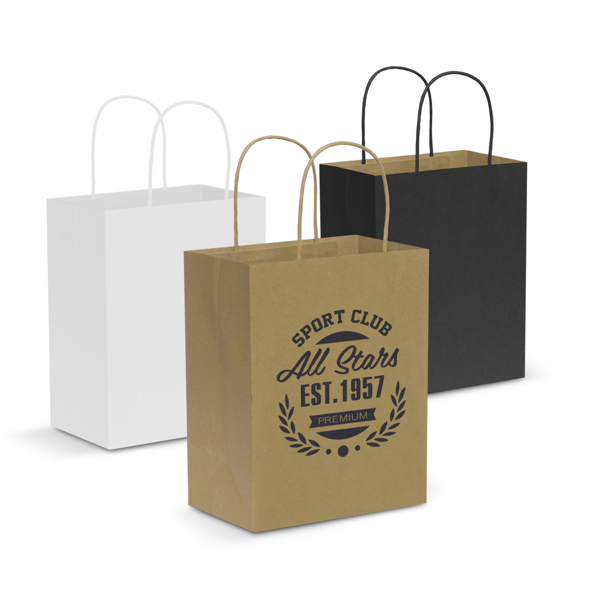 Paper Carry Bag - Medium branded packaging product image